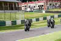 cadwell-no-limits-trackday;cadwell-park;cadwell-park-photographs;cadwell-trackday-photographs;enduro-digital-images;event-digital-images;eventdigitalimages;no-limits-trackdays;peter-wileman-photography;racing-digital-images;trackday-digital-images;trackday-photos